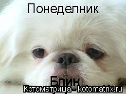 Понеделник Блин Блин... Котоматрица: Понеделник Блин Блин