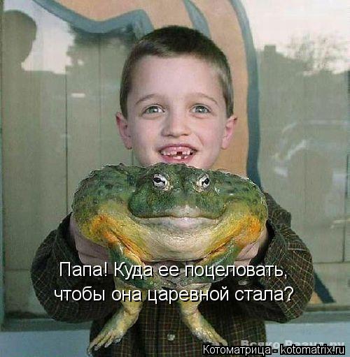 Котоматрица: чтобы она царевной стала? Папа! Куда ее поцеловать,