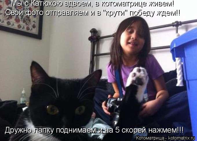 Котоматрица: Дружно лапку поднимаем и на 5 скорей нажмем!!! Свои фото отправляем и в "крути" победу ждем!! Мы с Катюхою вдвоем, в котоматрице живем!