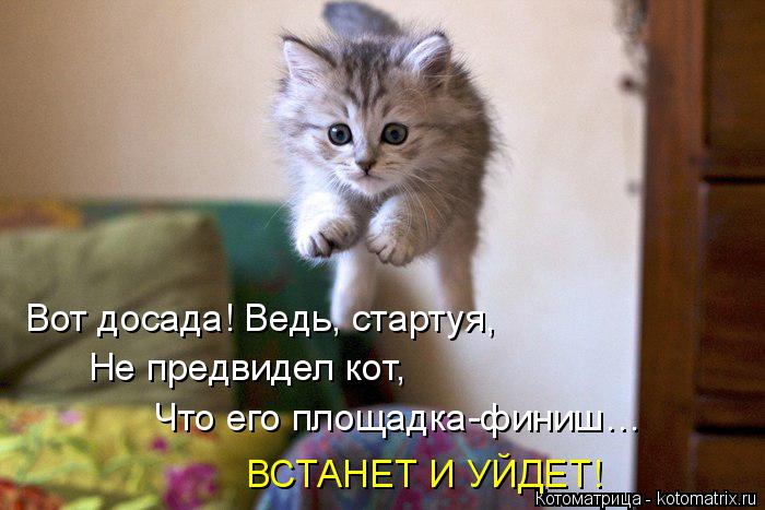 Котоматрица: Вот досада! Ведь, стартуя, Не предвидел кот, Что его площадка-финиш… ВСТАНЕТ И УЙДЕТ!