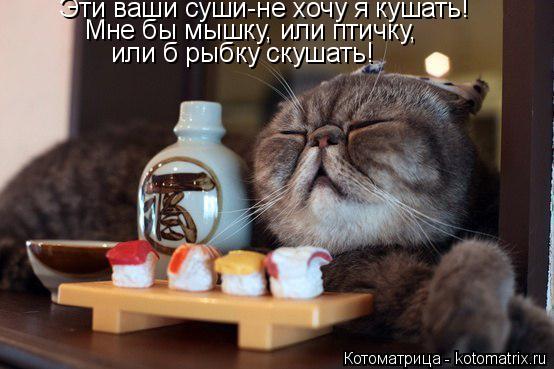 Котоматрица: Эти ваши суши-не хочу я кушать! Мне бы мышку, или птичку,  или б рыбку скушать!