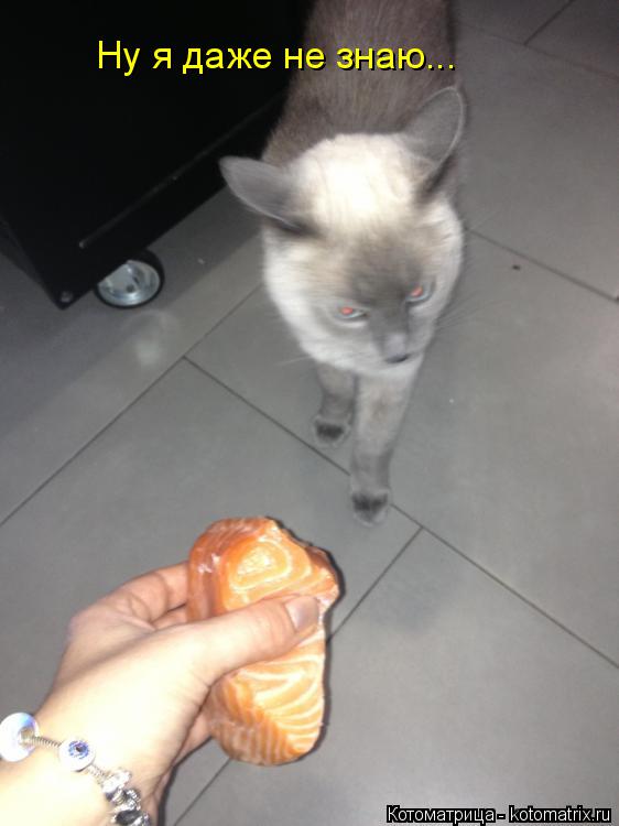 Котоматрица: Ну я даже не знаю...