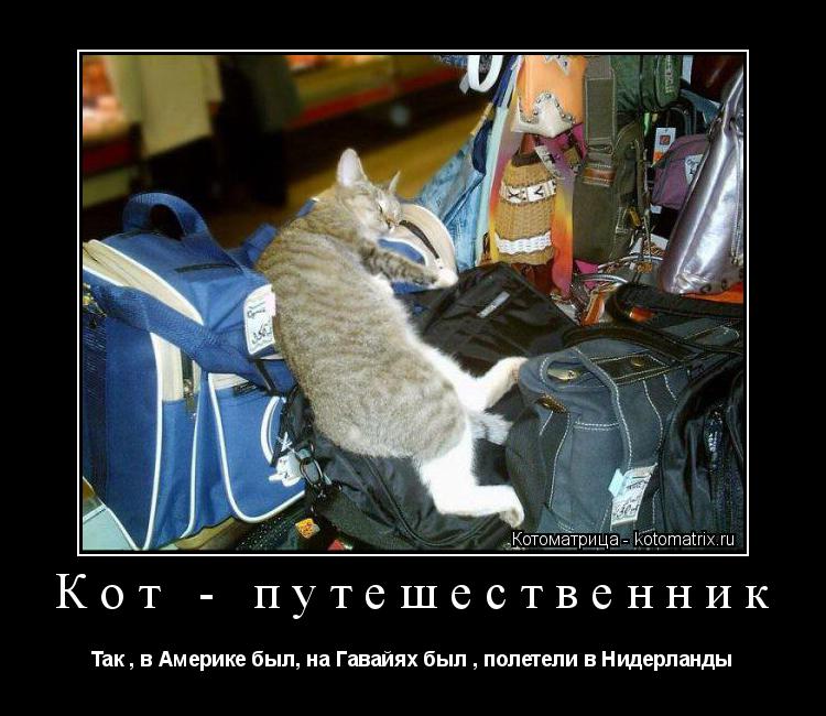 Котоматрица: Кот - путешественник Так , в Америке был, на Гавайях был , полетели в Нидерланды