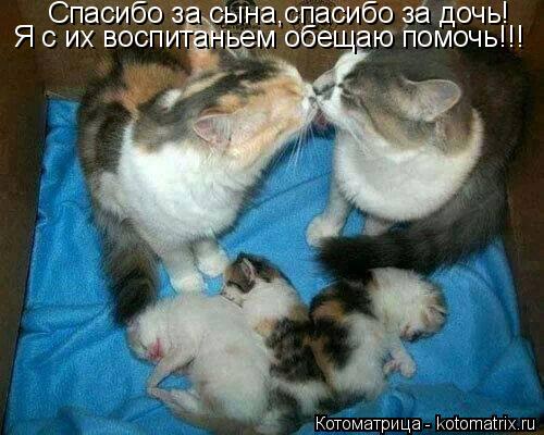 Котоматрица: Спасибо за сына,спасибо за дочь! Я с их воспитаньем обещаю помочь!!!