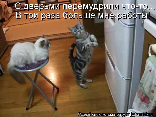 Котоматрица: С дверьми перемудрили что-то... В три раза больше мне работы!