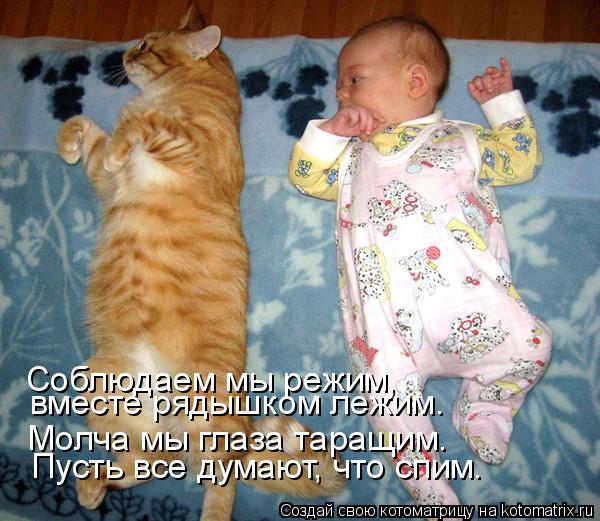 Котоматрица: Соблюдаем мы режим, вместе рядышком лежим. Молча мы глаза таращим. Пусть все думают, что спим.