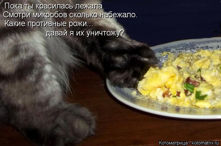 Пока ты красилась лежала Смотри микробов сколько набежало. Какие противные рожи... давай я их уничтож... Котоматрица: Пока ты красилась лежала Смотри микробов сколько набежало. Какие противные рожи... давай я их уничтожу?