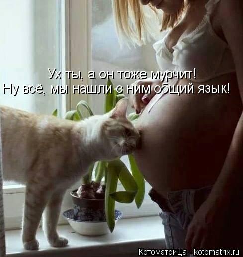 Котоматрица: Ух ты, а он тоже мурчит! Ну всё, мы нашли с ним общий язык!