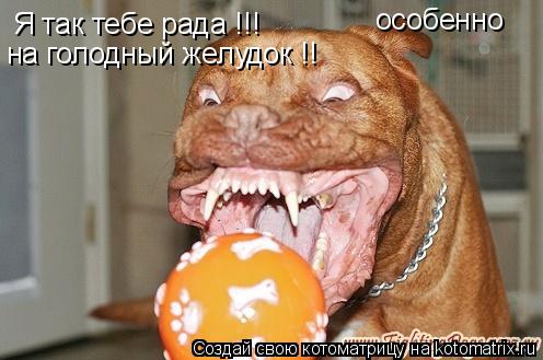Я так тебе рада !!! на голодный желудок !! особенно... Котоматрица: Я так тебе рада !!! на голодный желудок !! особенно