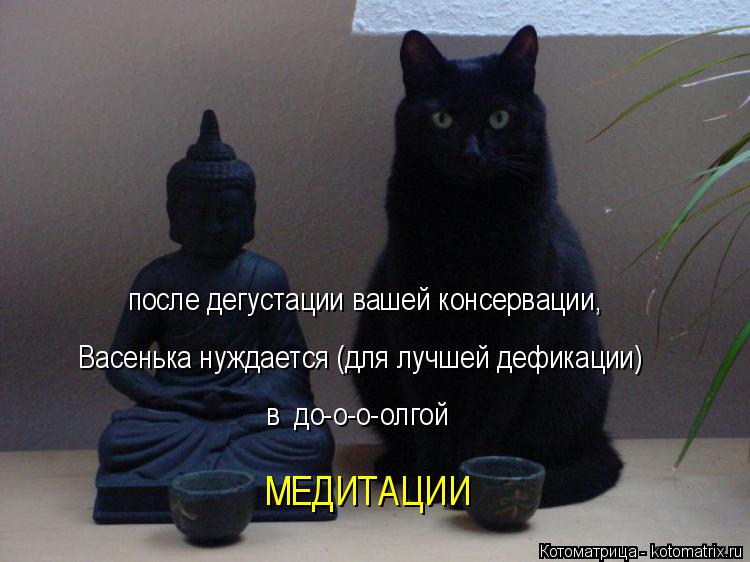 Котоматрица: МЕДИТАЦИИ в  до-о-о-олгой после дегустации вашей консервации, Васенька нуждается (для лучшей дефикации)