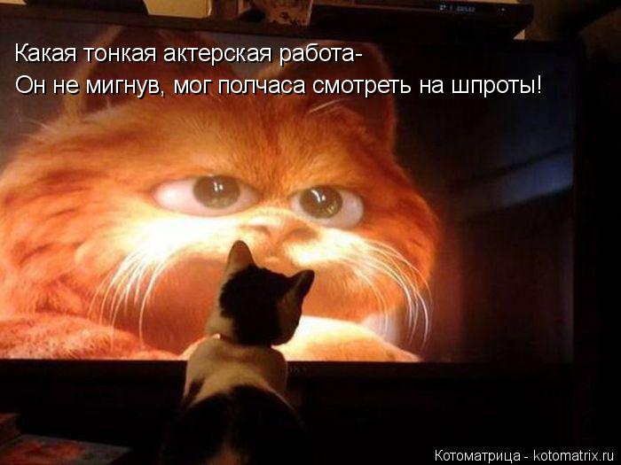 Котоматрица: Какая тонкая актерская работа- Он не мигнув, мог полчаса смотреть на шпроты!