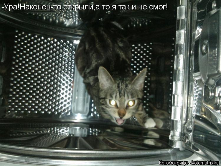 Котоматрица: -Ура!Наконец-то открыли,а то я так и не смог!