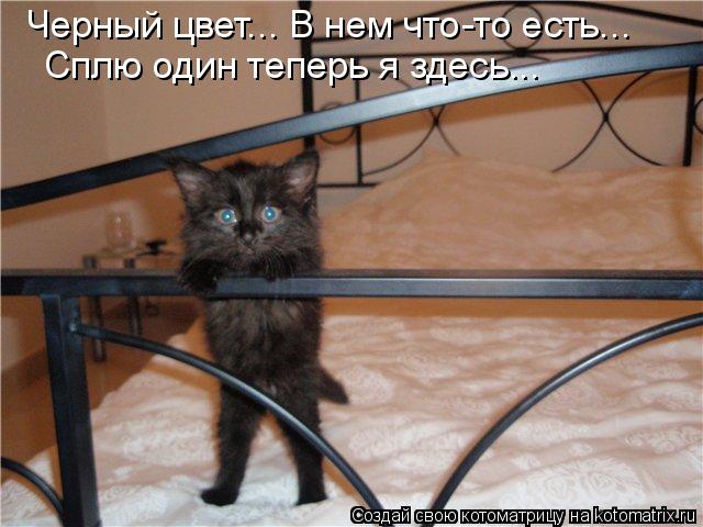 Котоматрица: Сплю один теперь я здесь... Черный цвет... В нем что-то есть...