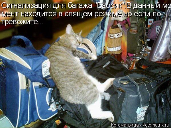Котоматрица: Сигнализация для багажа "Барсик".В данный мо- мент находится в спящем режиме,но если по- тревожите...