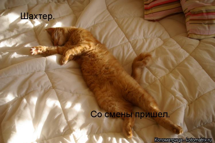 Котоматрица: Шахтер. Со смены пришел.