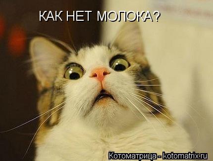 Котоматрица: КАК НЕТ МОЛОКА?
