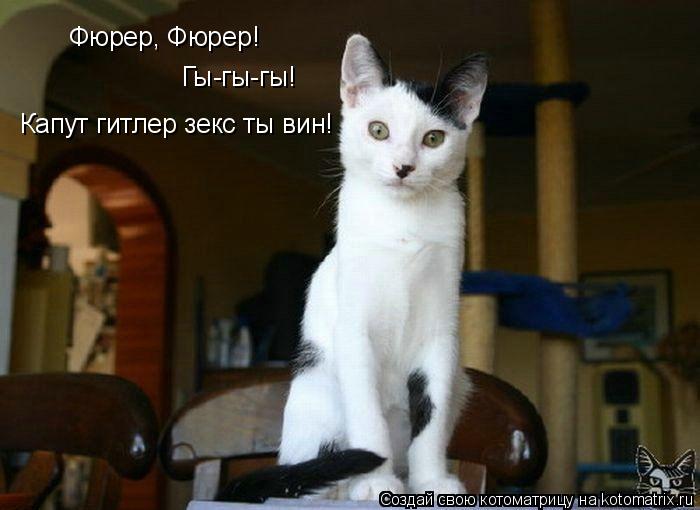 Котоматрица: Фюрер, Фюрер! Гы-гы-гы! Капут гитлер зекс ты вин!