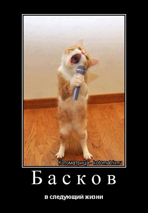 Котоматрица: Басков в следующий жизни