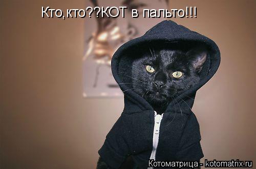 Кто,кто??КОТ в пальто!!!... Котоматрица: Кто,кто??КОТ в пальто!!!