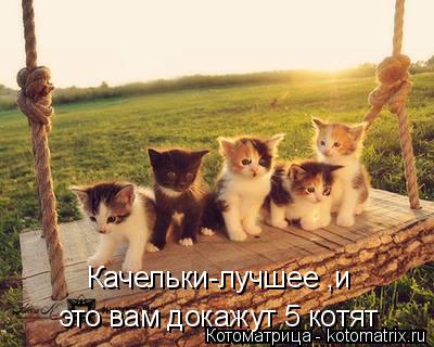 Качельки-лучшее ,и это вам докажут 5 котят... Котоматрица: Качельки-лучшее ,и это вам докажут 5 котят