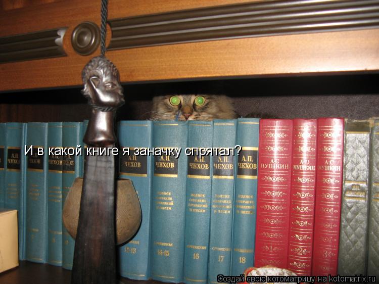 Котоматрица: И в какой книге я заначку спрятал?