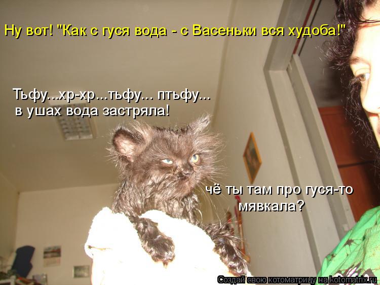 Котоматрица: Тьфу...хр-хр...тьфу... птьфу... в ушах вода застряла! Ну вот! "Как с гуся вода - с Васеньки вся худоба!" чё ты там про гуся-то мявкала?