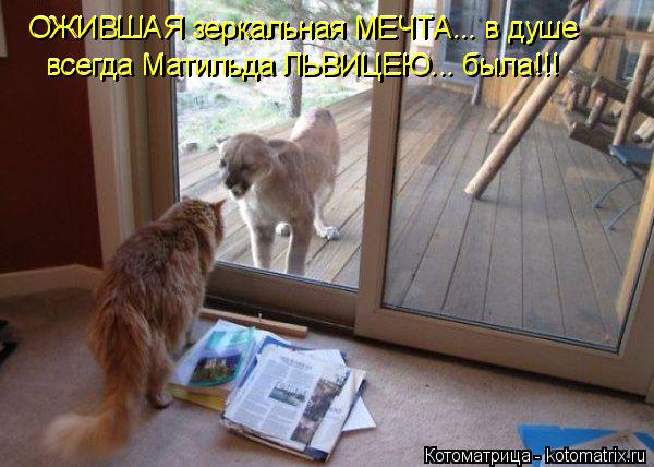 Котоматрица: ОЖИВШАЯ зеркальная МЕЧТА... в душе всегда Матильда ЛЬВИЦЕЮ... была!!! всегда Матильда ЛЬВИЦЕЮ... была!!! ОЖИВШАЯ зеркальная МЕЧТА... в душе