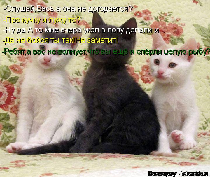 Котоматрица: -Слушай,Вась,а она не догодается? -Про кучку и лужу то? -Да не бойся ты так!Не заметит! -Ребят,а вас не волнует,что вы ещё и спёрли целую рыбу? -Ну