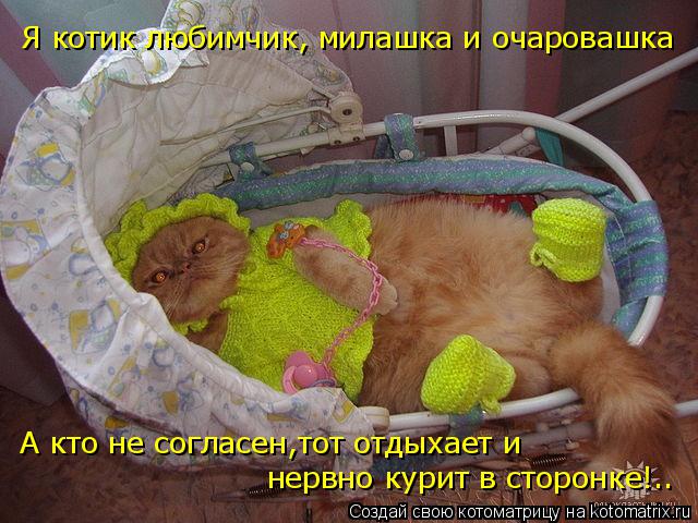 Котоматрица: А кто не согласен,тот отдыхает и нервно курит в сторонке!.. Я котик любимчик, милашка и очаровашка