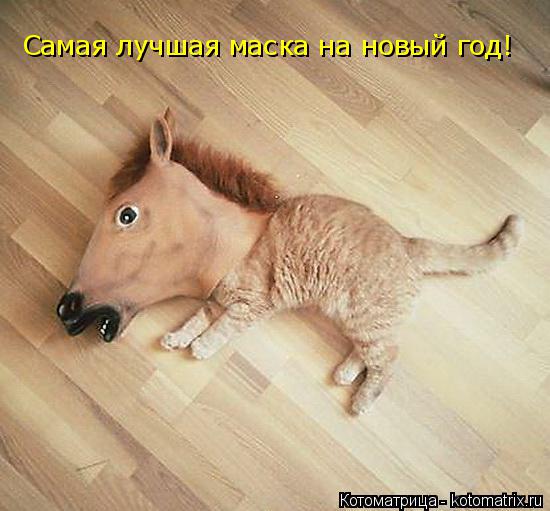 Котоматрица: Самая лучшая маска на новый год!