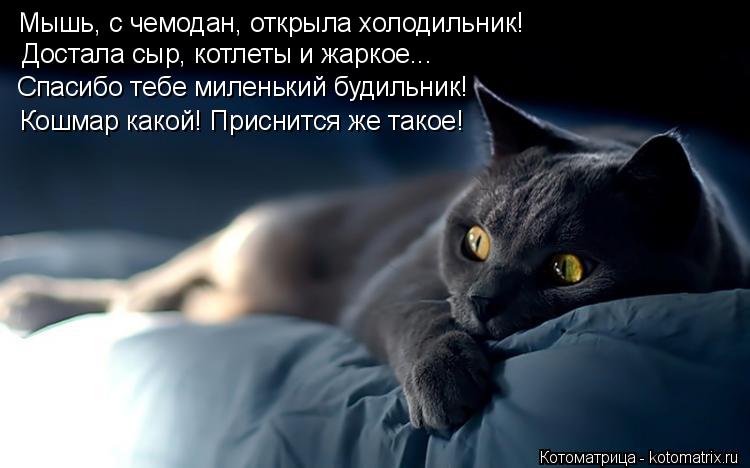 Мышь, с чемодан, открыла холодильник! Достала сыр, котлеты и жаркое... Кошмар какой! Приснится же так... Котоматрица: Мышь, с чемодан, открыла холодильник! Достала сыр, котлеты и жаркое... Кошмар какой! Приснится же такое! Спасибо тебе миленький будильник!