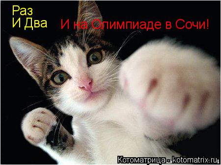 Котоматрица: Раз И Два И на Олимпиаде в Сочи!