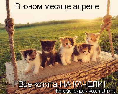 В юном месяце апреле Все котята-НА КАЧЕЛИ!... Котоматрица: В юном месяце апреле Все котята-НА КАЧЕЛИ!