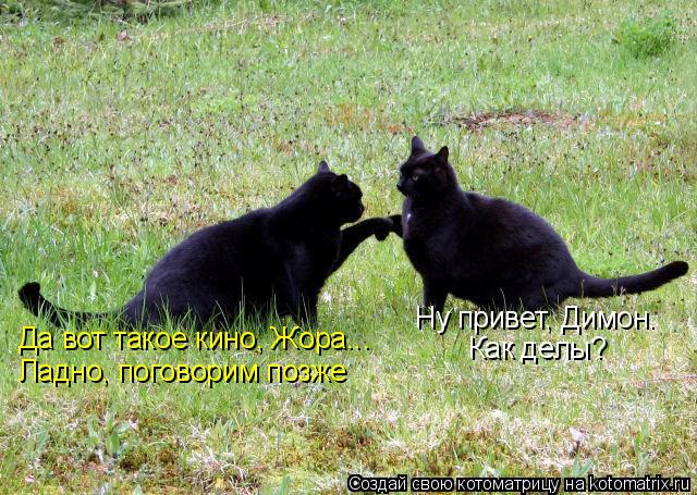 Ну привет, Димон. Как делы? Да вот такое кино, Жора... Ладно, поговорим позже... Котоматрица: Ну привет, Димон. Как делы? Да вот такое кино, Жора... Ладно, поговорим позже