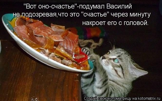Котоматрица: "Вот оно-счастье"-подумал Василий не подозревая,что это "счастье" через минуту  накроет его с головой.