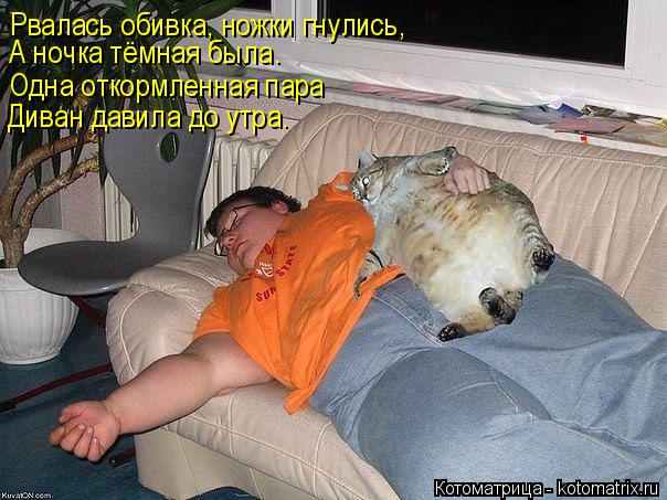 Рвалась обивка, ножки гнулись, Одна откормленная пара Диван давила до утра. А ночка тёмная была.... Котоматрица: Рвалась обивка, ножки гнулись, Одна откормленная пара Диван давила до утра. А ночка тёмная была.