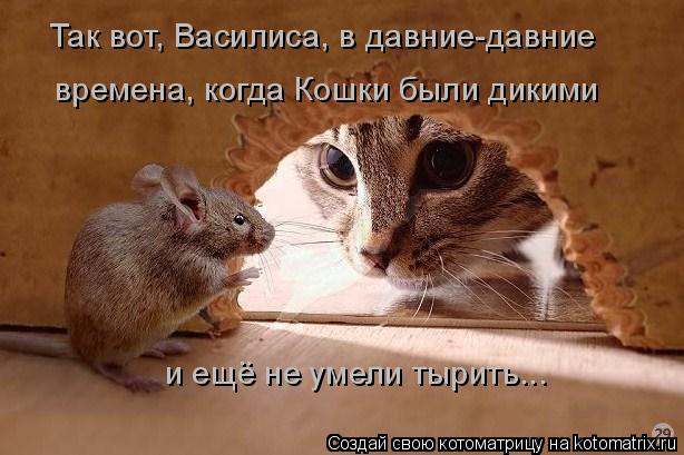 Котоматрица: Так вот, Василиса, в давние-давние времена, когда Кошки были дикими и ещё не умели тырить...