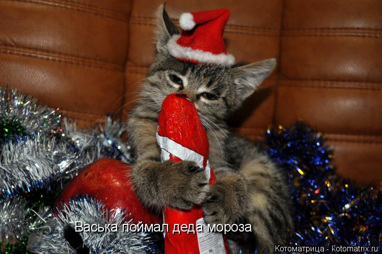 Поймай деда мороза новый год Поймай деда мороза новый год