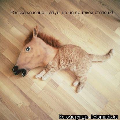Котоматрица: Васька конечно шалун, но не до такой степени!