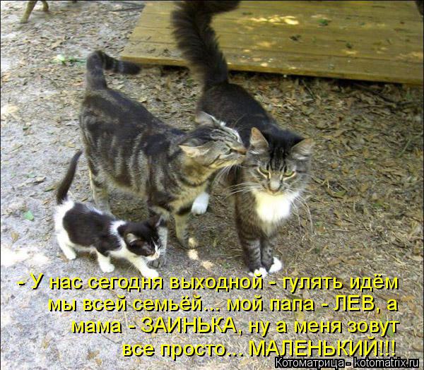 Котоматрица: - У нас сегодня выходной - гулять идём мы всей семьёй... мой папа - ЛЕВ, а мама - ЗАИНЬКА, ну а меня зовут все просто... МАЛЕНЬКИЙ!!!