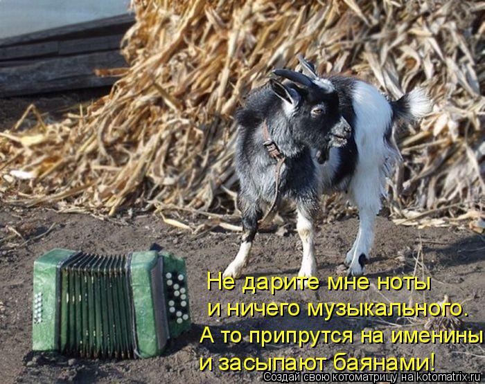 А то припрутся на именины и засыпают баянами! и ничего музыкального. Не дарите мне ноты... Котоматрица: А то припрутся на именины и засыпают баянами! и ничего музыкального. Не дарите мне ноты