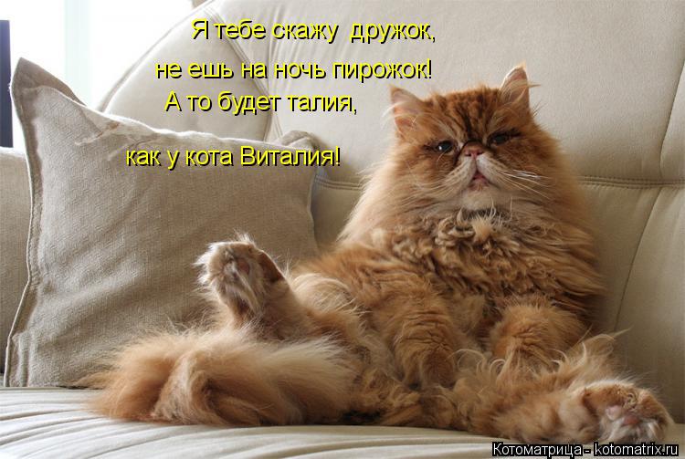 Котоматрица: Я тебе скажу  дружок, не ешь на ночь пирожок! А то будет талия, как у кота Виталия!