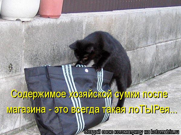 Котоматрица: Содержимое хозяйской сумки после магазина - это всегда такая лоТЫРея...