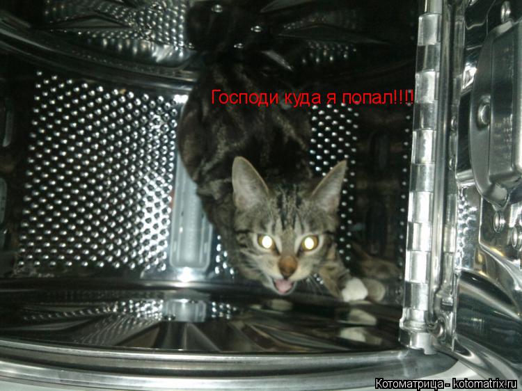 Котоматрица: Господи куда я попал!!!!