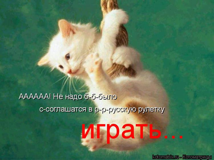 Котоматрица: АААААА! Не надо б-б-было с-соглашатся в р-р-русскую рулетку играть...