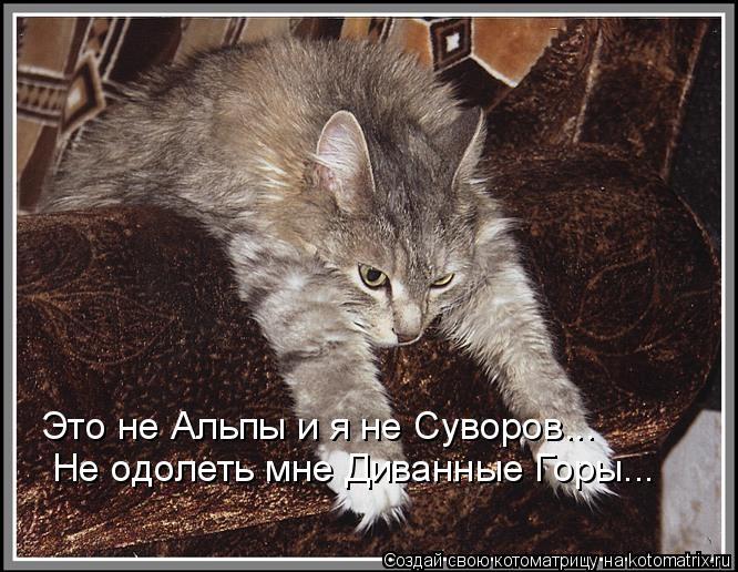 Котоматрица: Это не Альпы и я не Суворов... Не одолеть мне Диванные Горы...