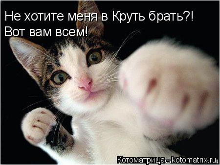 Котоматрица: Не хотите меня в Круть брать?! Вот вам всем!