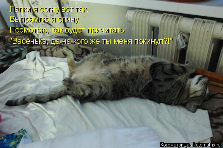 Котоматрица: Лапки я согну вот так, Выпрямлю я спину, Посмотрю, как будет причитать: "Васенька, да на кого же ты меня покинул?!"