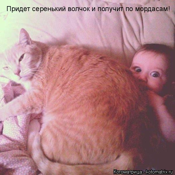 Котоматрица: Придет серенький волчок и получит по мордасам!