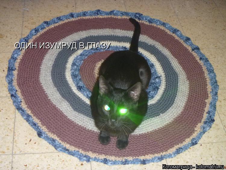 ОДИН ИЗУМРУД В ГЛАЗУ... Котоматрица: ОДИН ИЗУМРУД В ГЛАЗУ